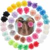 Baby DED | Ded 40Pcs 2\" Chiffon Flower Hair Bows Clips Flower Tiny Hair Clips Fine Hair For Girls Infants Toddlers Set Of 20 Pairs