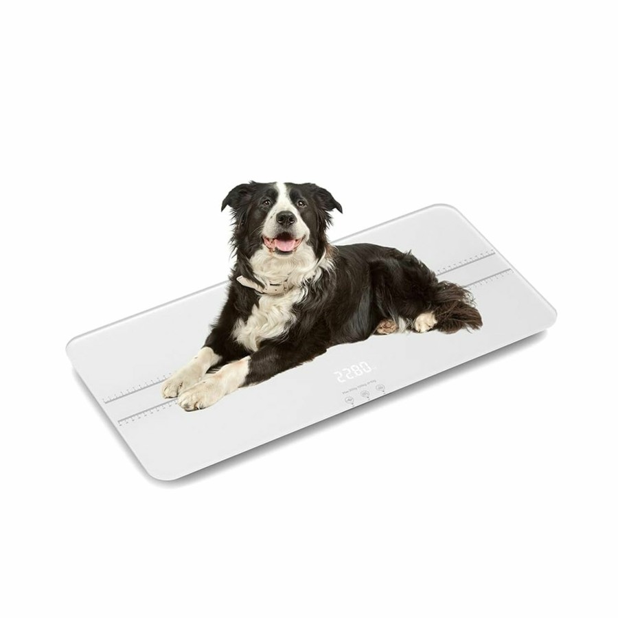 Baby unipaws | Unipaws Digital Pet Scale For Dogs Cats Babies. 44 Pound Capacity Pounds Grams Kilograms And St:Lb Weighing Units.0.01 Lbs Accuracy